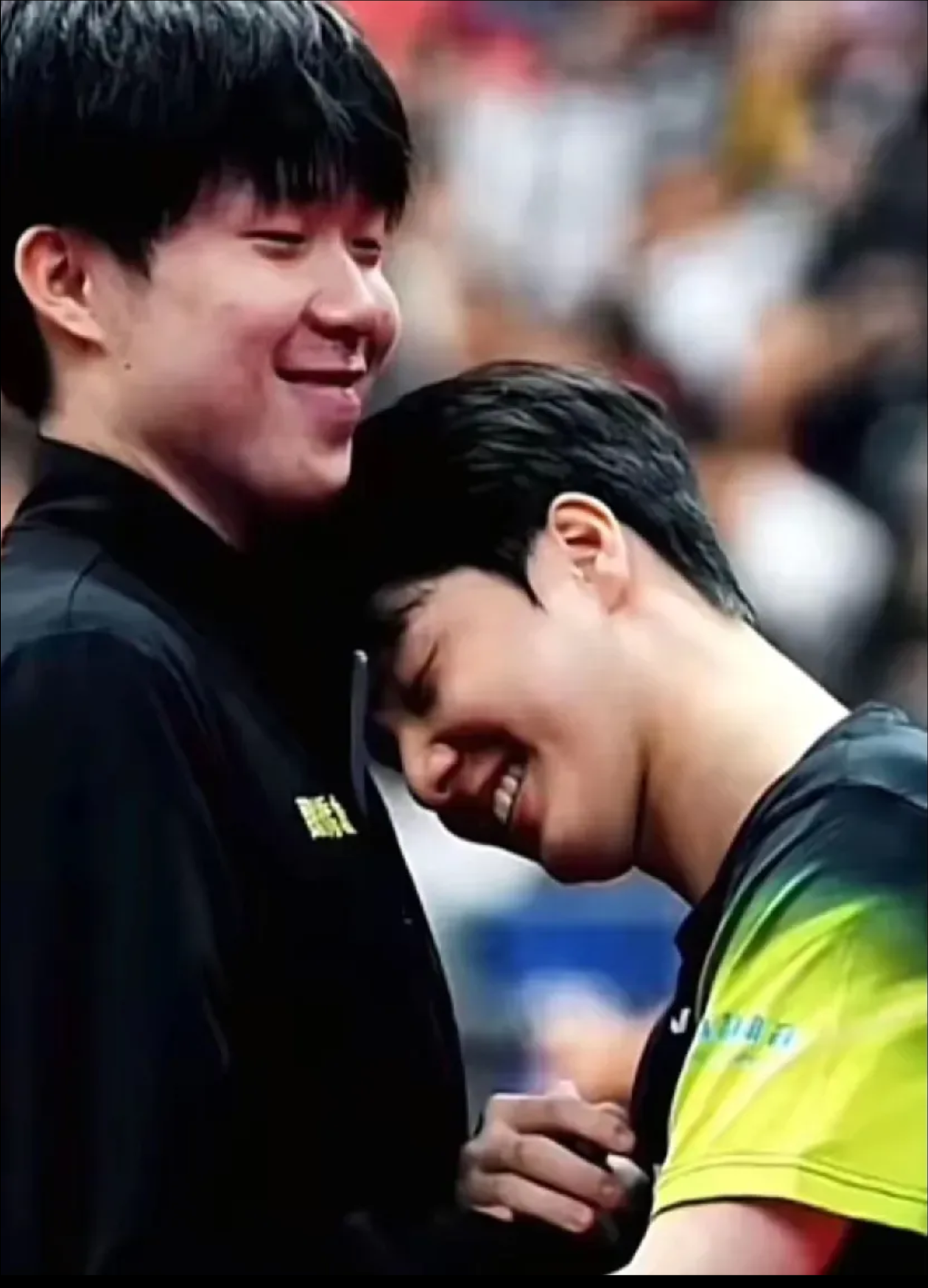 瑞典队力克英格兰队，张本智和惊艳四座