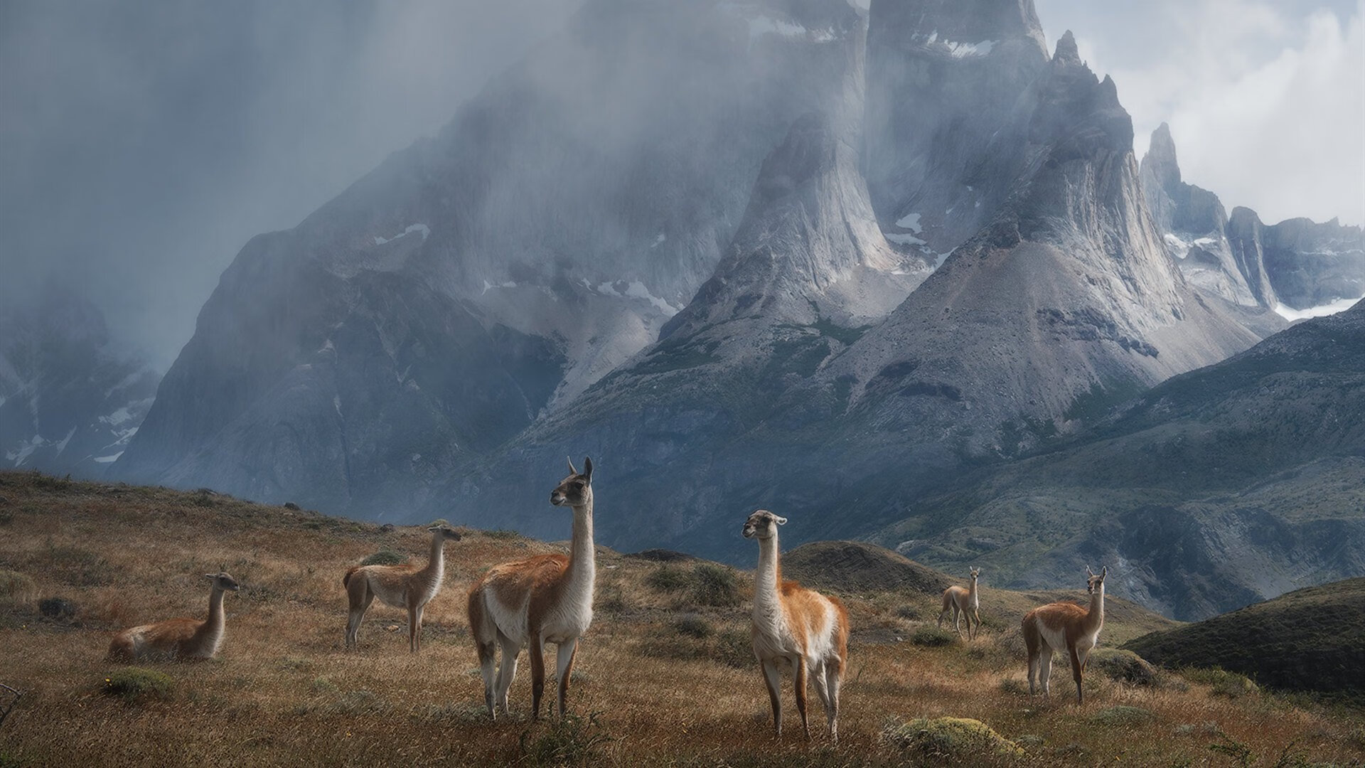跨界风暴，巴黎爆冷拉齐奥与德布劳内的NBA总决赛奇幻秀