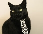 武切维奇，稳定如钟摆，太阳刺破森林狼的钢铁防线