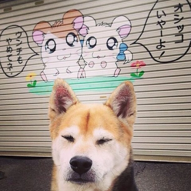 开云体育官方网站-抢七夜，楚阿梅尼个人能力完全展现