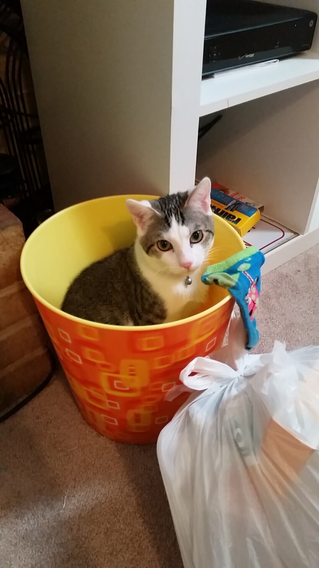 双线战场，卢卡库的重炮与德国队的决胜一键