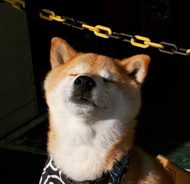 撕裂与贯穿，当英格拉姆的利刃遇见辽宁队的铁流