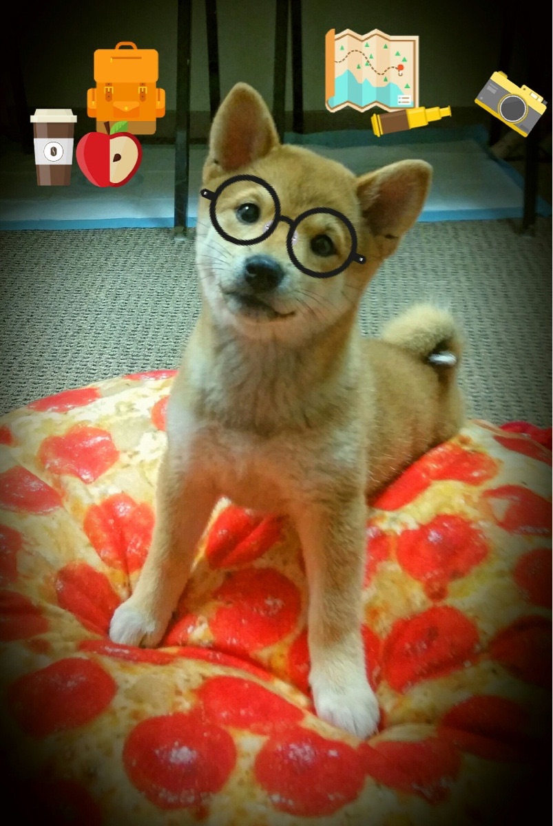 开云体育app-双线辉煌，浙江队封锁国王，约基奇意甲焦点战接管比赛