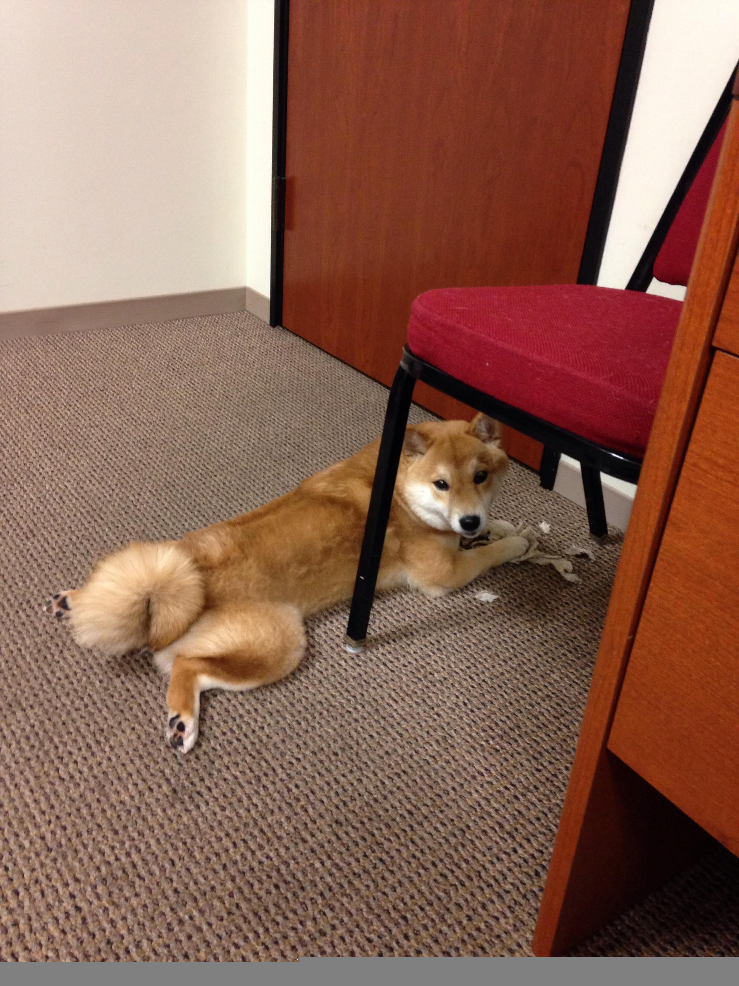 爵士末节定江山，塔图姆关键一击定乾坤