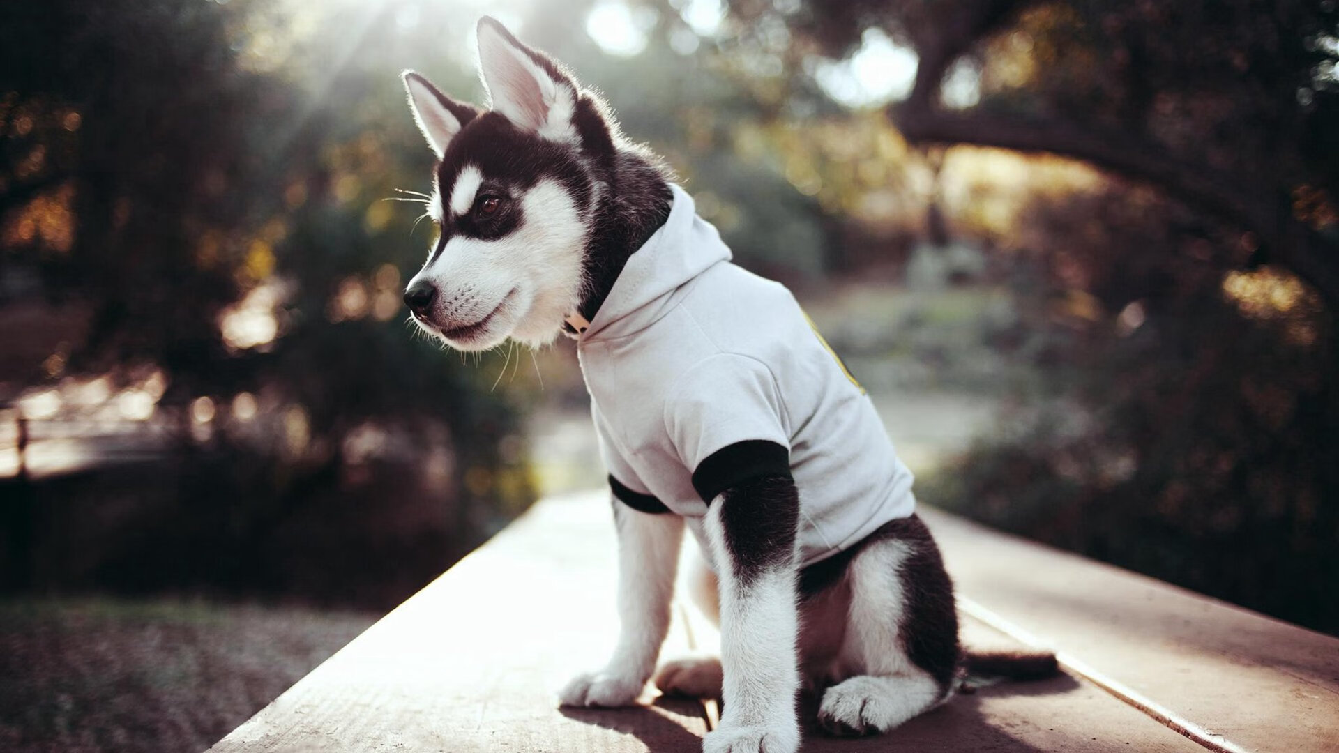 热火击溃火箭展现实力,约基奇稳定输出彰显MVP本色