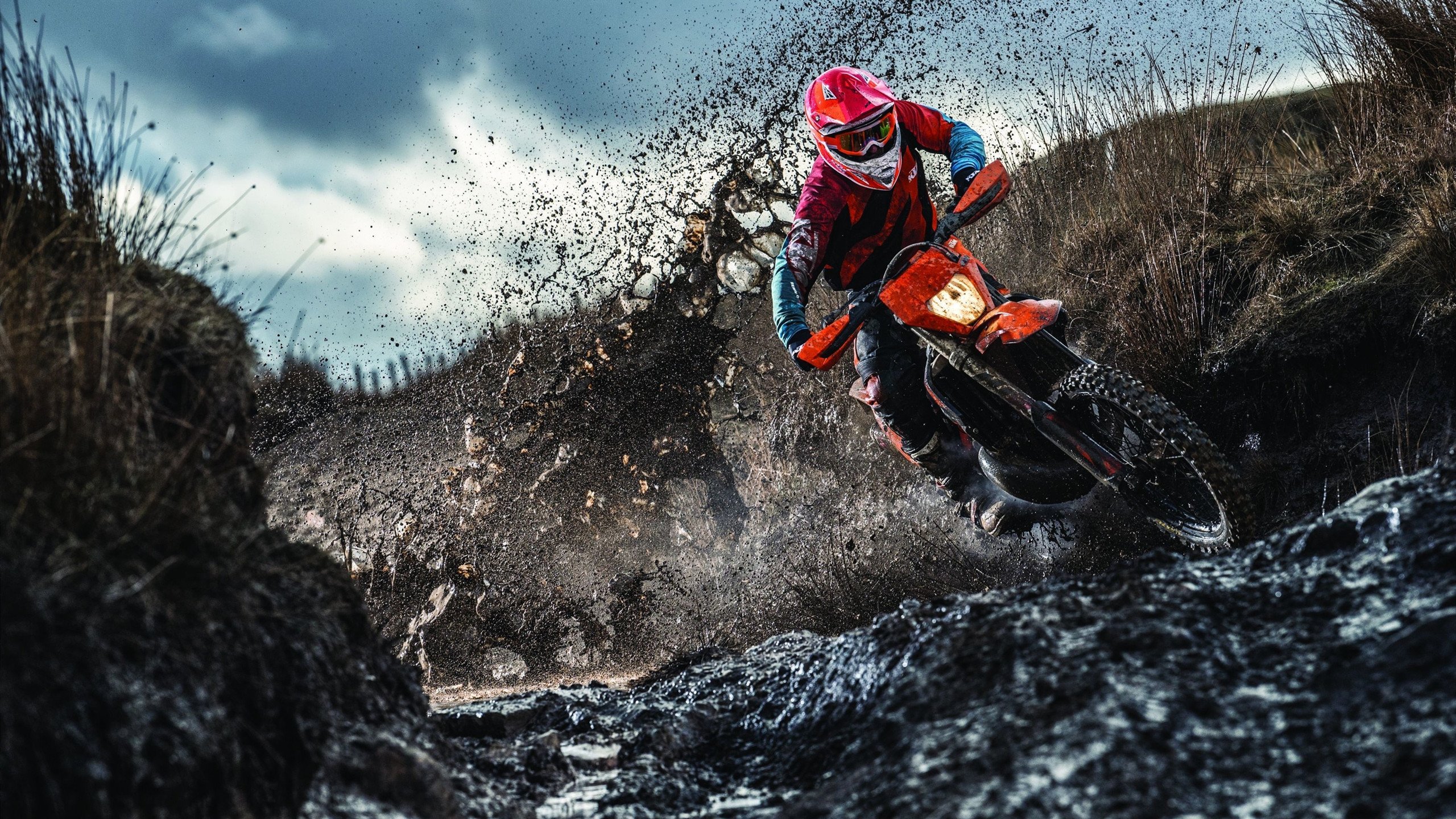 西亚卡姆生涯突破万分大关，末节爆发率尼克斯力克开拓者