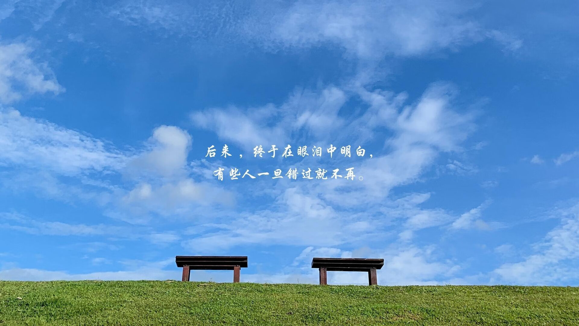 黄蜂之刺，武切维奇如何用进攻手术刀肢解绿军防线？