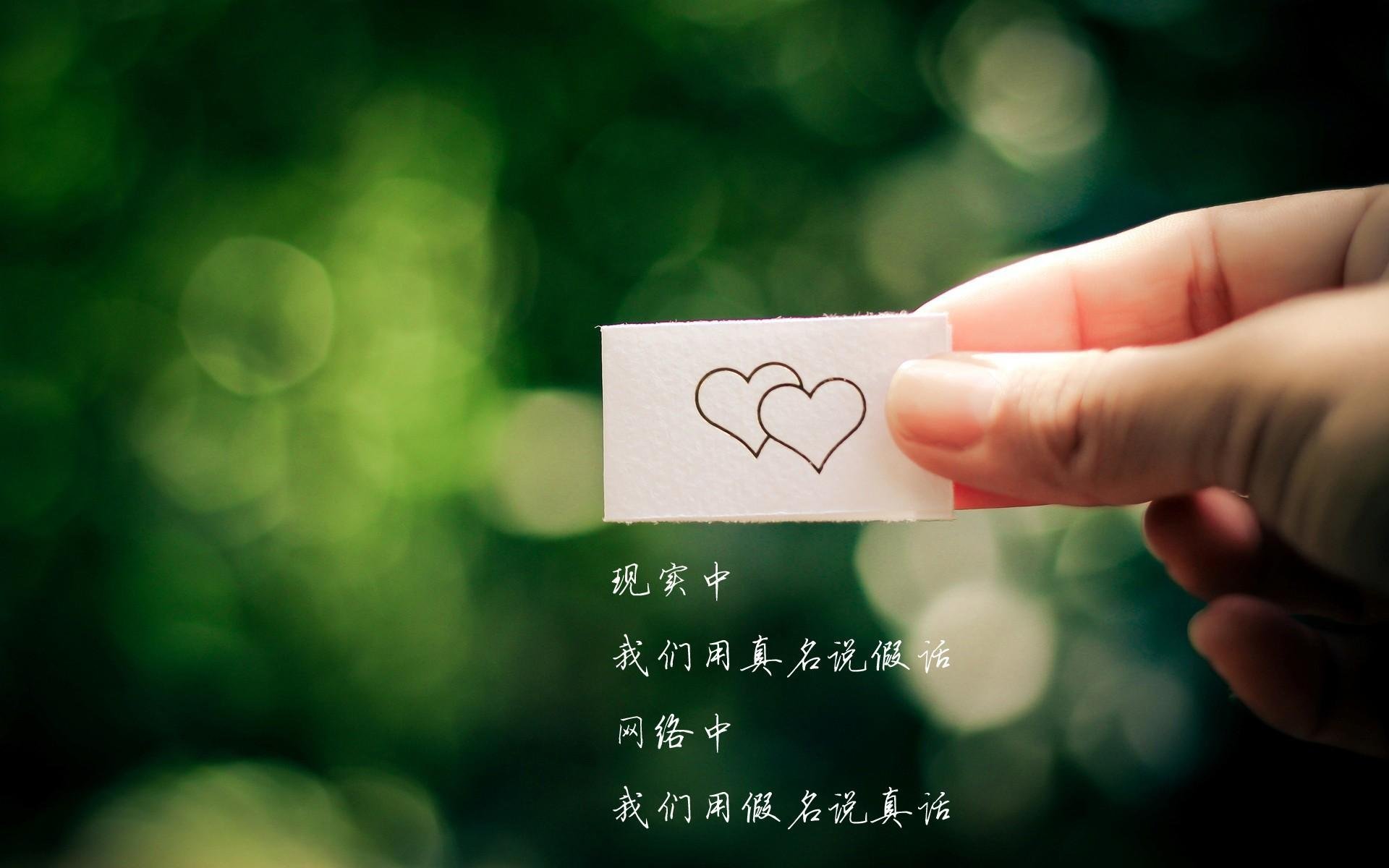 铁锤与手术刀,当塔图姆的巨星光芒照亮步行者的团队齿轮