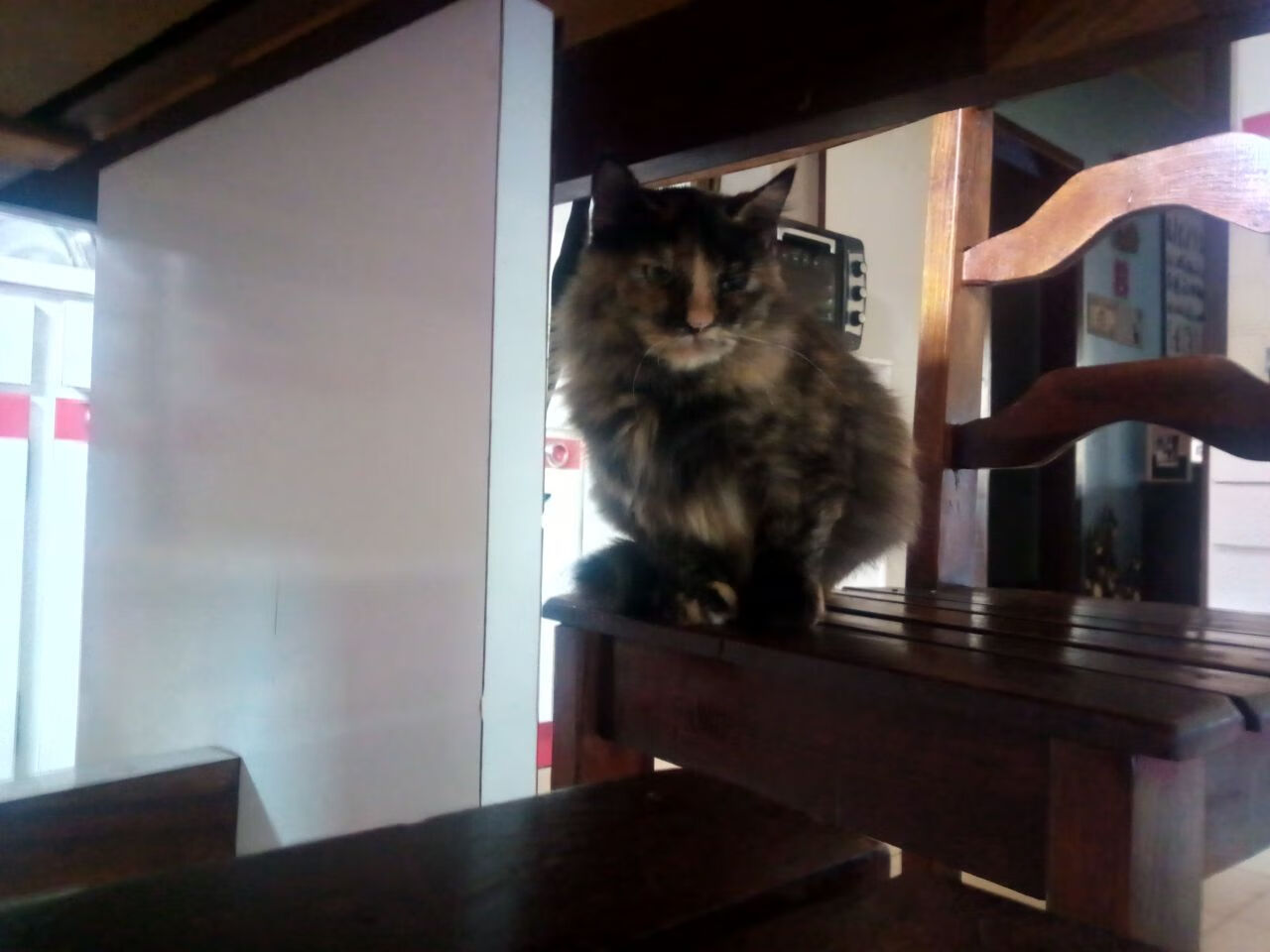 开云体育-德国战车力克尤文，蒂亚戈一剑封喉