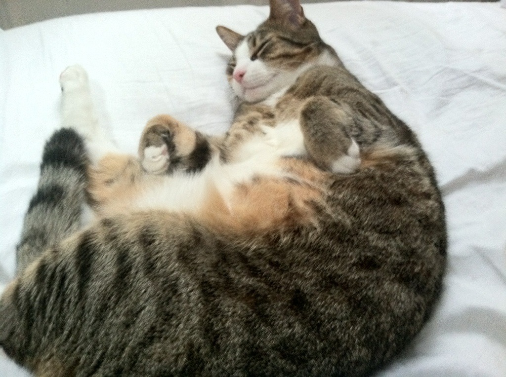 星爆时刻，当萨内用波兰的爆冷寒夜，点燃2026的德意志天穹