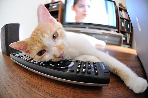 轮胎墙前倒灌篮筐，当武切维奇在F1发车格接管比赛