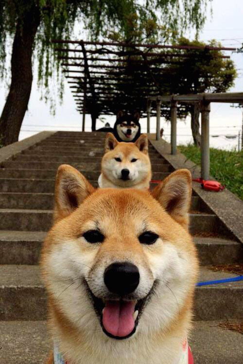 开云体育在线-硬仗取胜与世界杯主宰，黄蜂力克篮网，米切尔2026闪耀