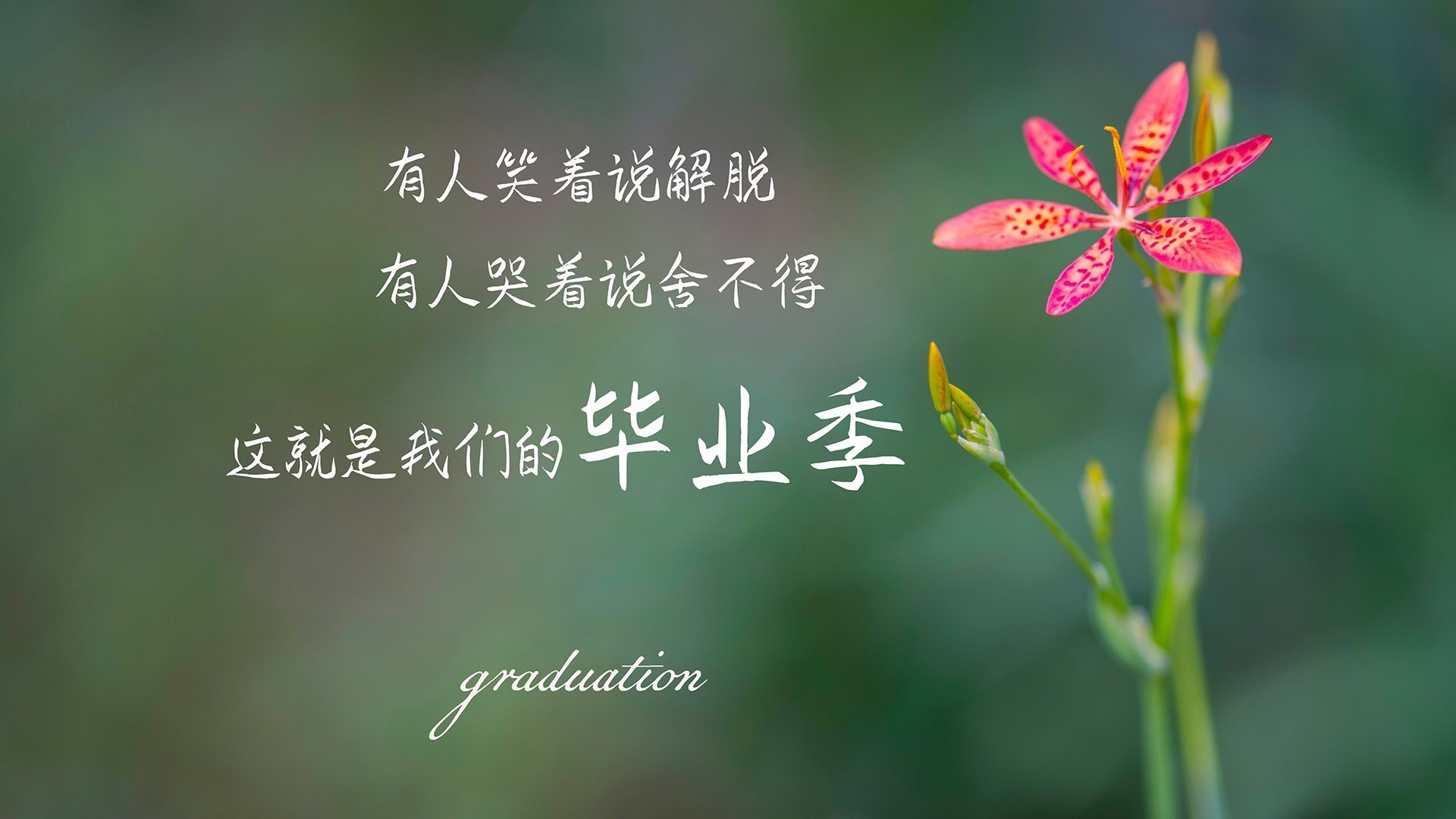 恩比德主宰末节风暴，爵士极限时刻险胜吉林